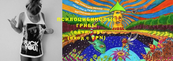 героин Алзамай