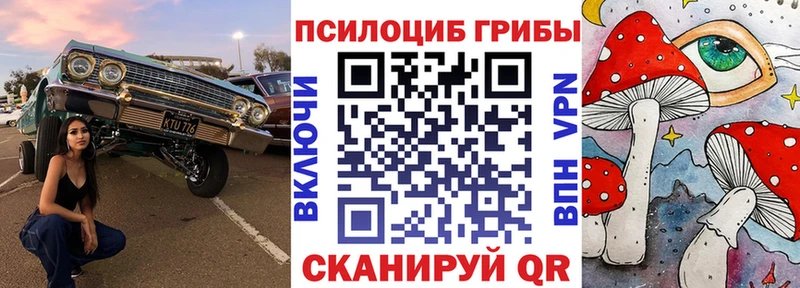 Галлюциногенные грибы Cubensis хочу наркоту Чаплыгин
